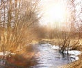 Spring creek water landscape Royalty Free Stock Photo