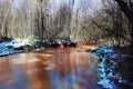 Spring creek water landscape