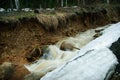 Spring brook after the melting of snow and glaciers Royalty Free Stock Photo