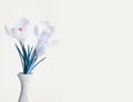 Spring crocus flower bouquet Royalty Free Stock Photo