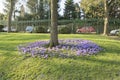 Gardens in Beaumont Park, Huddersfield