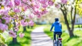 Spring Cycling Scene with Blossoms and Blurred Male Cyclist on Sunny Path Royalty Free Stock Photo