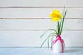Spring Daffodil Flower in Modern gray vase on table with white wood shiplap boards background with copy space on side. Horizontal