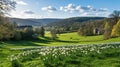 Spring daffodils bloom in valley with manor house Royalty Free Stock Photo
