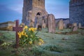 Spring Daffodils and a Wooden Cross