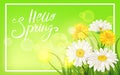 Spring daisies, chamomiles dandelions juicy green lettering Spring grass background Template for banners, web, flyer. Vector Royalty Free Stock Photo