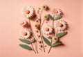Spring daisy flowers on a pink background. flay lay design. Generative ai