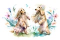 Spring dance with flowers of two smiling Afghan Hound dogs. Royalty Free Stock Photo