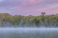 Spring Dawn Pete`s Lake in Fog