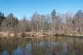 Spring day, Abava river, Latvia. Royalty Free Stock Photo