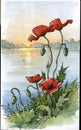 Spring day by the lake, poppies.