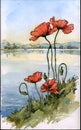 Spring day by the lake, poppies.