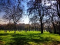 Spring day in a park Royalty Free Stock Photo