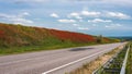 Spring day.Red poppies blooming along the track.Blue sky with white clouds. Royalty Free Stock Photo