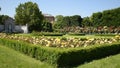 Rose bushes gallery in Rosengarten Volksgarten in Vienna, Austria