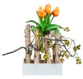 Spring deco with artificail tulips isolated on white Royalty Free Stock Photo