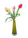 Spring deco with artificail tulips isolated on white Royalty Free Stock Photo