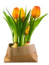 Spring deco with artificial tulips isolated on white Royalty Free Stock Photo