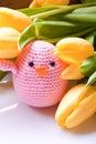 Spring decoration Royalty Free Stock Photo