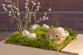 Spring decoration with moss, shels and  Easter Bunny Royalty Free Stock Photo