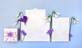 Spring decoration. Postal envelope with paper card note with space for text, gift box, snowdrops, flowers hepatica Royalty Free Stock Photo