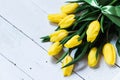 Spring decorative composition. Bouquet of yellow tulips tied by green ribbon. Close up portrait on white wooden background Royalty Free Stock Photo
