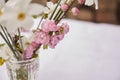 Spring delicate vase with twig of apricot blooming and narcissus. Woman's day, invitation, Mother's day, wedding