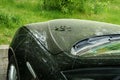 A car dirty from pollen