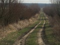 Spring dirt road in northern Poland