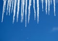 Spring drops from long crystal icicles hanging down before clear blue sky on bright sunny day closeup