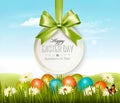 Spring Easter background. Easter eggs in grass