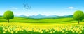 Spring And Easter Banner Featuring Daffodils on a Fresh Lawn with a Flying Swallow Royalty Free Stock Photo