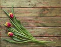 Spring bouquet of three tulip flowers on wooden background. Flat lay view with copy space Royalty Free Stock Photo