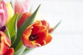 Spring easter colorful tulips on white vintage background Royalty Free Stock Photo