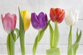 Spring easter colorful tulips on white vintage background Royalty Free Stock Photo