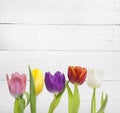 Spring easter colorful tulips on white vintage background Royalty Free Stock Photo