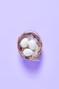 spring Easter composition. nest with speckled eggs on a light purple background. the concept of the holiday. Royalty Free Stock Photo