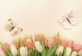 Spring Easter composition with pink tulips flowers and butterflies on pastel background. Valentine`s, Women`s, Mother`s Day