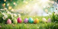 Spring Easter Digital background for photographers Royalty Free Stock Photo