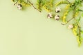 Spring easter floral border. Natural tree branches, yellow flowers and quail eggs on green background with copy space. Creative Royalty Free Stock Photo