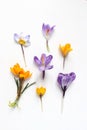 Spring, Easter floral composition. Yellow and violet crocuses flowers on white wooden background. Styled stock photo