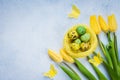 Spring Easter Greeting Card. Yellow tulips and colorful quail eggs in nest Royalty Free Stock Photo