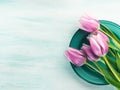 Spring easter purple tulip floral green pastel color background