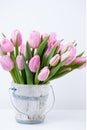 Spring easter tulips in bucket on white vintage background. Royalty Free Stock Photo