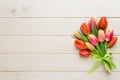 Spring easter tulips in bucket on white vintage background. Royalty Free Stock Photo