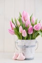 Spring easter tulips in bucket on white vintage background. Royalty Free Stock Photo