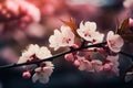 Spring elegance Cherry blossom blooming tree, decorative romantic botanical graphic