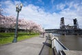 Spring embankment Portland with flowering trees and cyclist brid Royalty Free Stock Photo