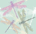 Spring endless pattern with stylish dragonflies Royalty Free Stock Photo