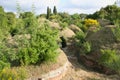 Spring etruscan necropolis - cerveteri